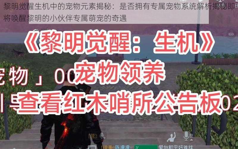 黎明觉醒生机中的宠物元素揭秘:是否拥有专属宠物系统解析揭秘即将唤醒黎明的小伙伴专属萌宠的奇遇