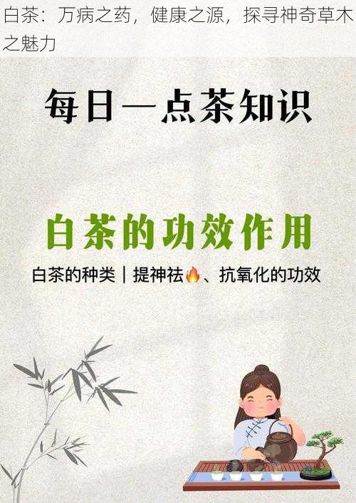 白茶:万病之药,健康之源,探寻神奇草木之魅力
