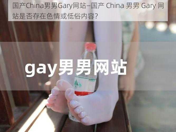 国产China男男Gary网站—国产 China 男男 Gary 网站是否存在色情或低俗内容?