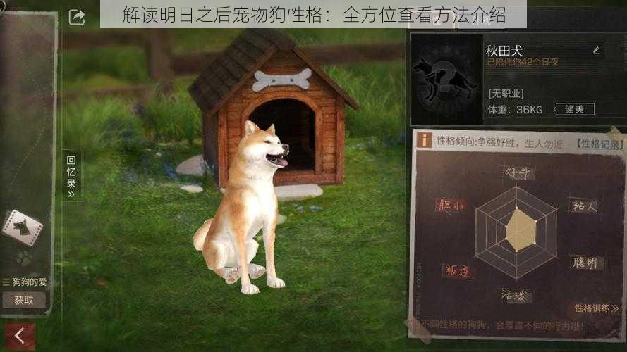 解读明日之后宠物狗性格:全方位查看方法介绍