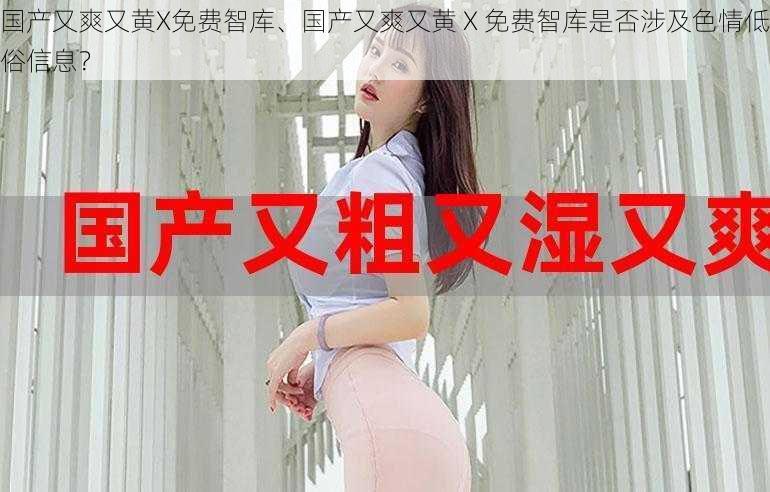 国产又爽又黄X免费智库、国产又爽又黄 X 免费智库是否涉及色情低俗信息?