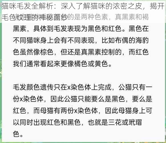 猫咪毛发全解析:深入了解猫咪的浓密之皮,揭开毛色纹理的神秘面纱
