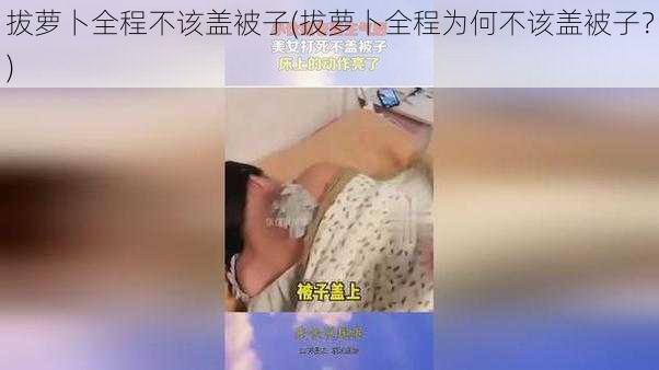 拔萝卜全程不该盖被子(拔萝卜全程为何不该盖被子?)