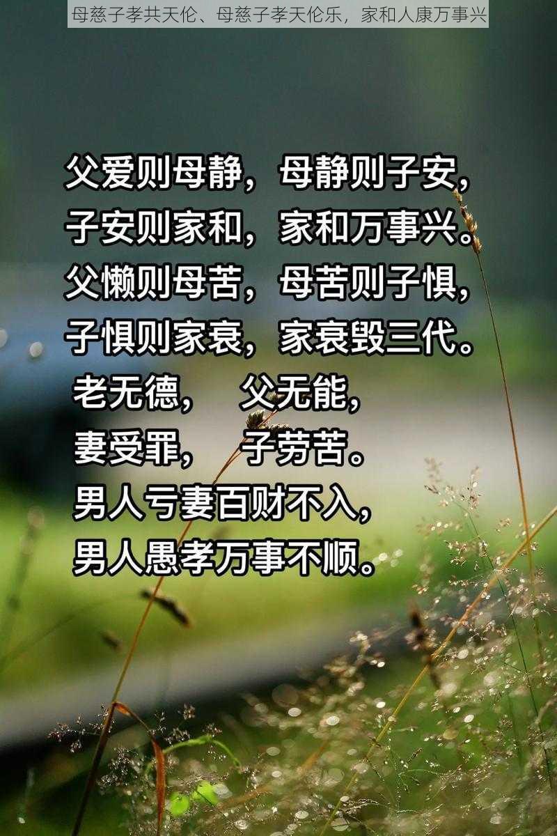 母慈子孝共天伦、母慈子孝天伦乐,家和人康万事兴