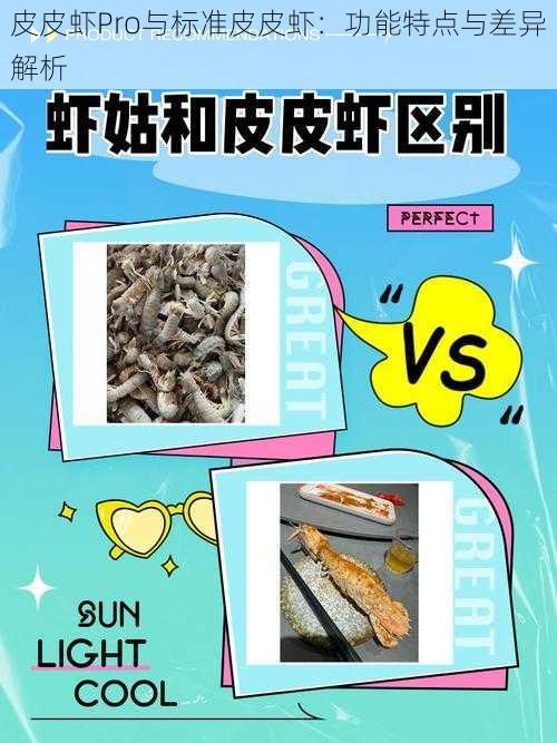 皮皮虾Pro与标准皮皮虾:功能特点与差异解析