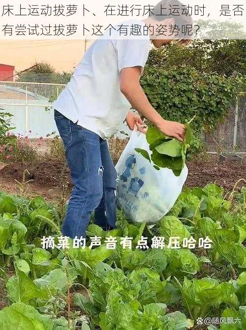 床上运动拔萝卜、在进行床上运动时,是否有尝试过拔萝卜这个有趣的姿势呢?