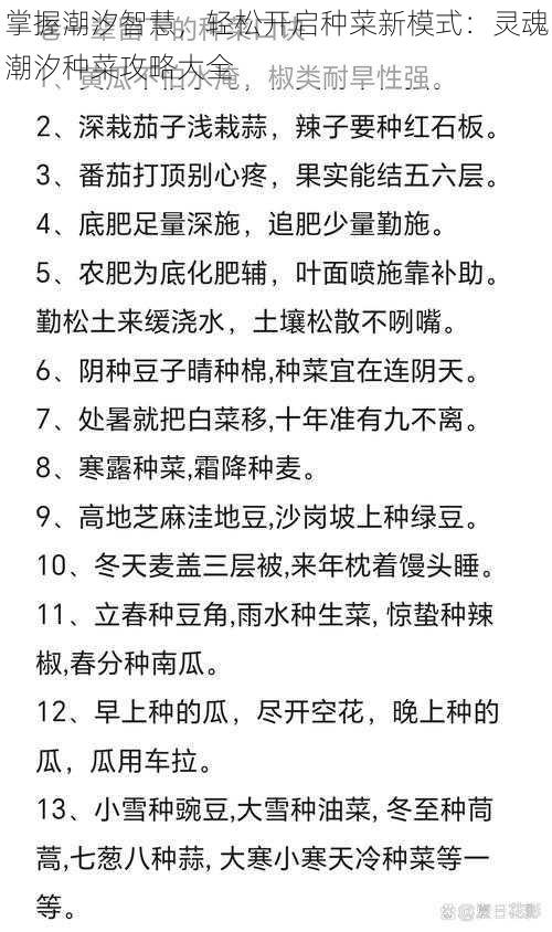 掌握潮汐智慧,轻松开启种菜新模式:灵魂潮汐种菜攻略大全
