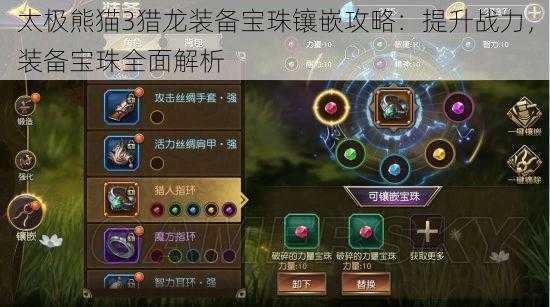 太极熊猫3猎龙装备宝珠镶嵌攻略:提升战力,装备宝珠全面解析