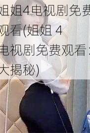 姐姐4电视剧免费观看(姐姐 4 电视剧免费观看:大揭秘)