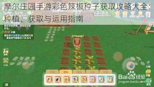 摩尔庄园手游彩色辣椒种子获取攻略大全:种植、获取与运用指南