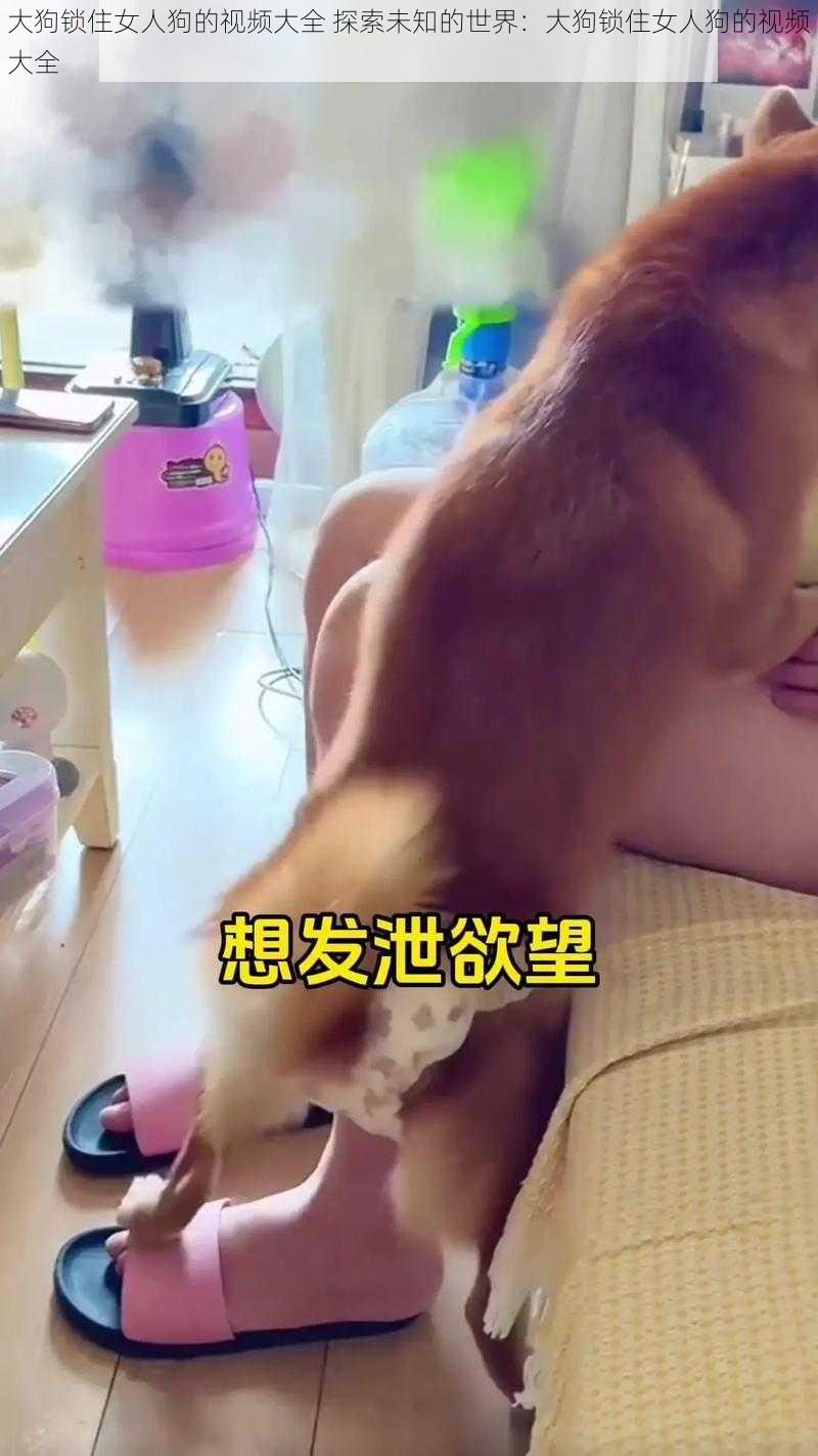 大狗锁住女人狗的视频大全 探索未知的世界:大狗锁住女人狗的视频大全