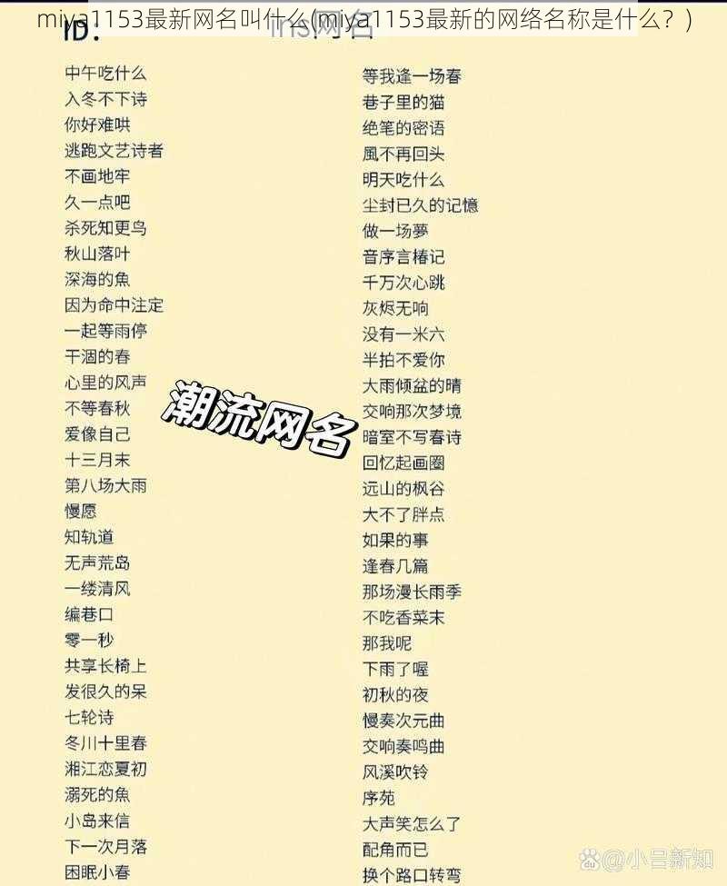 miya1153最新网名叫什么(miya1153最新的网络名称是什么?)