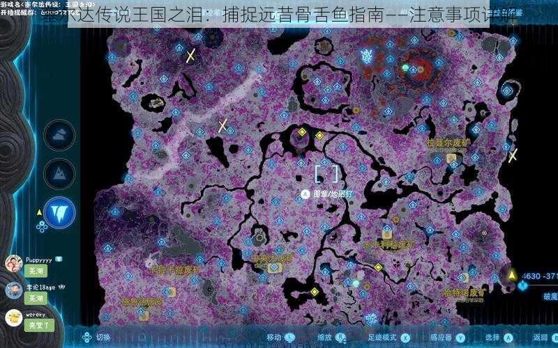 塞尔达传说王国之泪:捕捉远昔骨舌鱼指南——注意事项详解