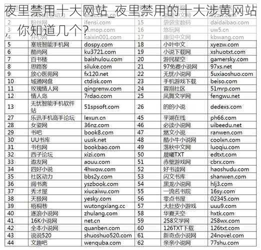 夜里禁用十大网站_夜里禁用的十大涉黄网站,你知道几个?