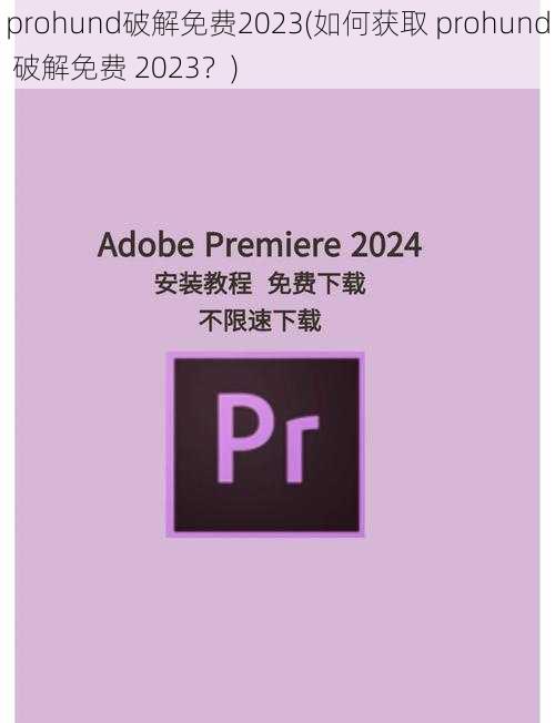 prohund破解免费2023(如何获取 prohund 破解免费 2023?)
