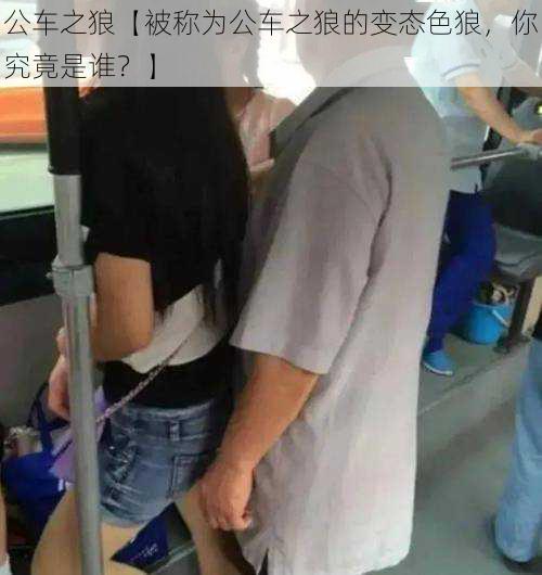 公车之狼【被称为公车之狼的变态色狼,你究竟是谁?】