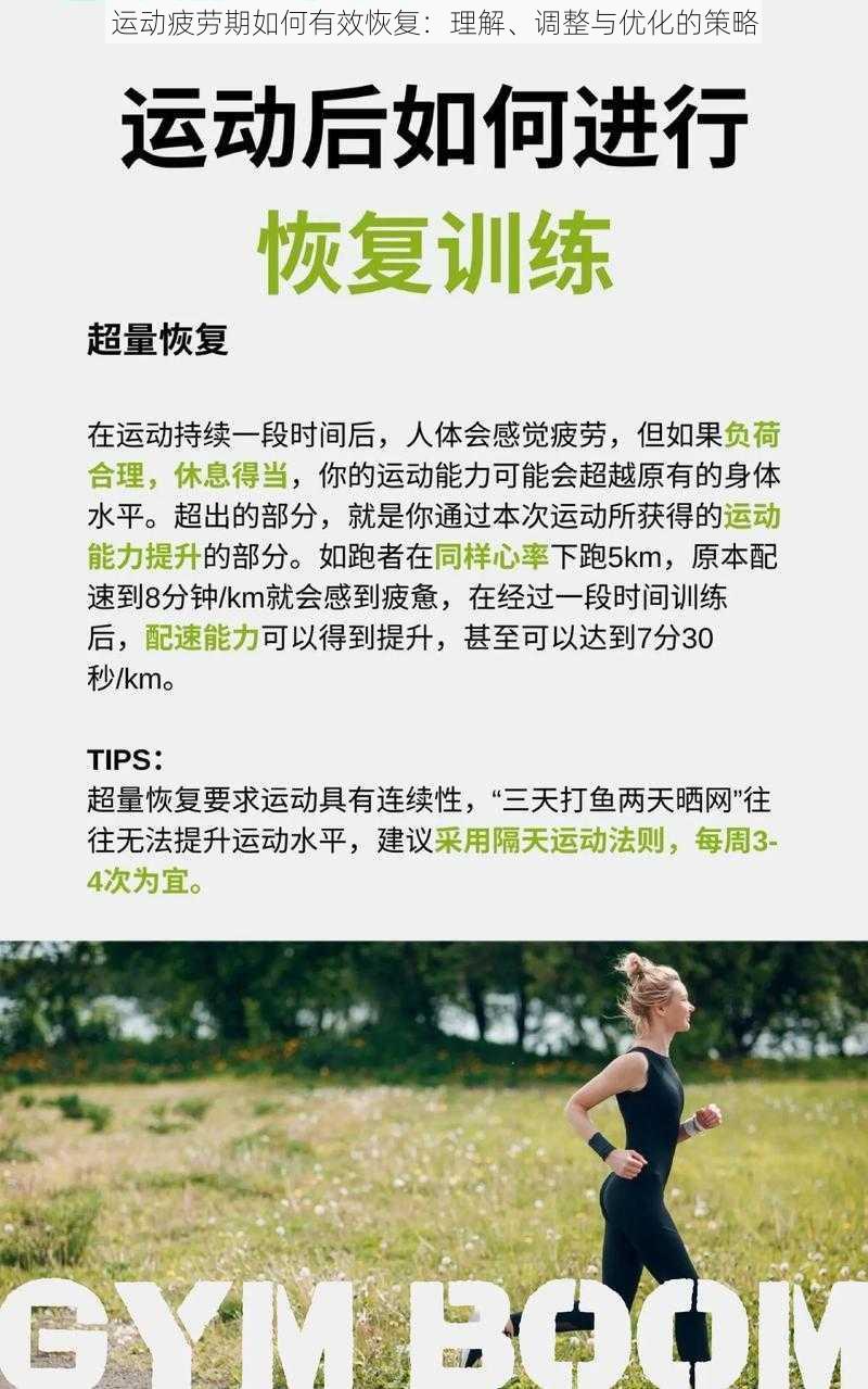 运动疲劳期如何有效恢复:理解、调整与优化的策略
