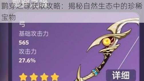 鹮穿之喙获取攻略:揭秘自然生态中的珍稀宝物