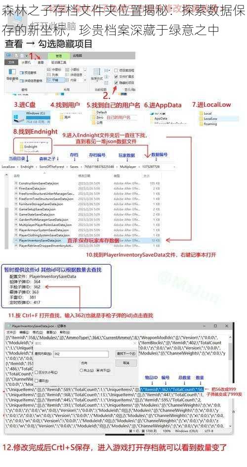 森林之子存档文件夹位置揭秘:探索数据保存的新坐标,珍贵档案深藏于绿意之中