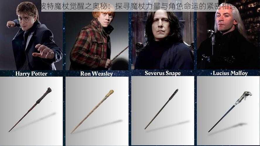 哈利波特魔杖觉醒之奥秘:探寻魔杖力量与角色命运的紧密相连