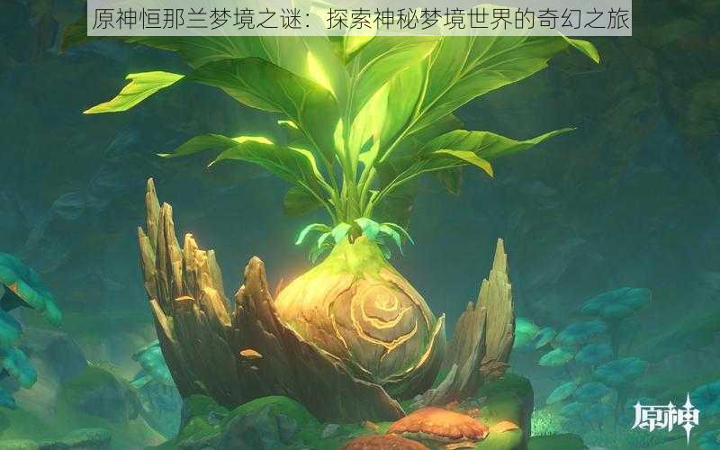 原神恒那兰梦境之谜:探索神秘梦境世界的奇幻之旅