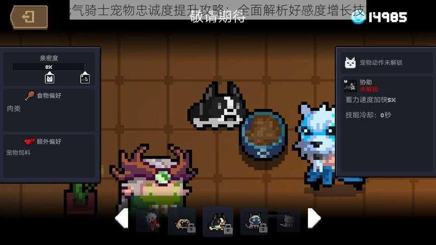 元气骑士宠物忠诚度提升攻略:全面解析好感度增长技巧