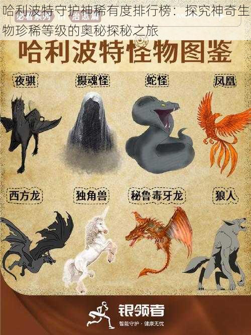 哈利波特守护神稀有度排行榜:探究神奇生物珍稀等级的奥秘探秘之旅