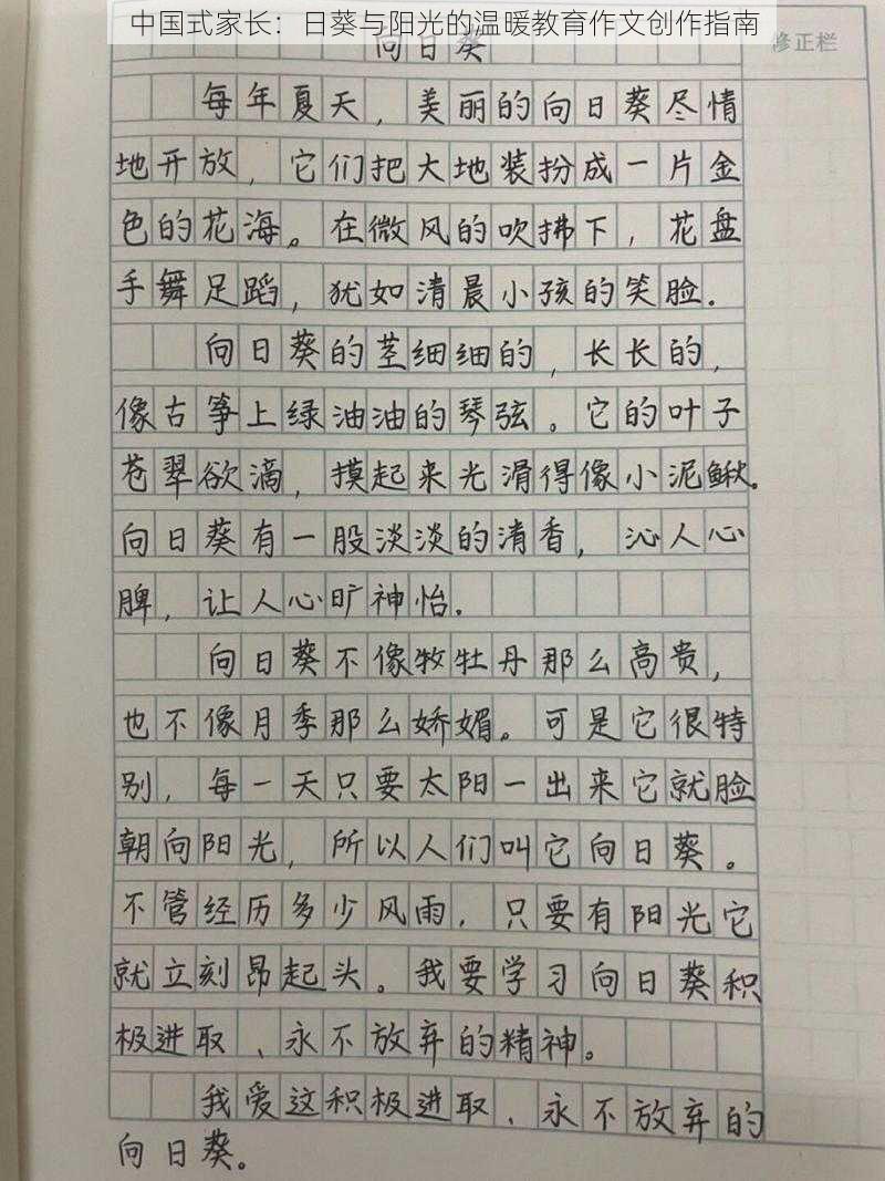 中国式家长:日葵与阳光的温暖教育作文创作指南