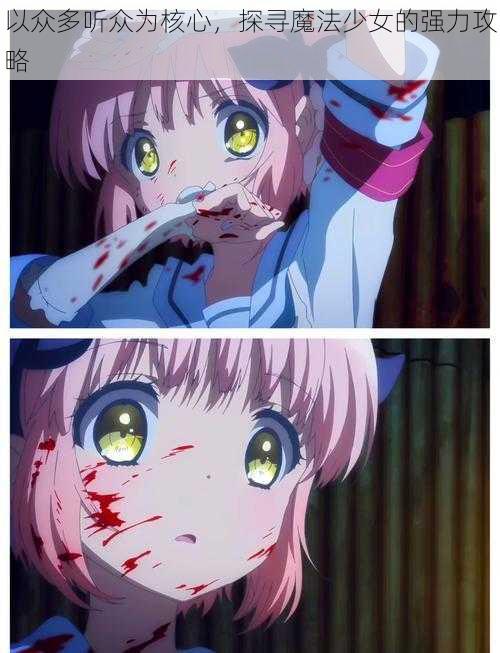 以众多听众为核心,探寻魔法少女的强力攻略
