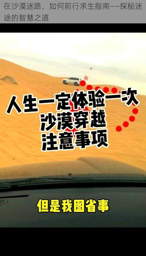 在沙漠迷路,如何前行求生指南——探秘迷途的智慧之道