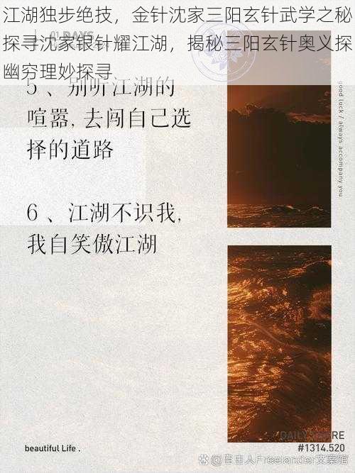 江湖独步绝技,金针沈家三阳玄针武学之秘探寻沈家银针耀江湖,揭秘三阳玄针奥义探幽穷理妙探寻