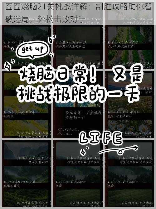 囧囧烧脑21关挑战详解:制胜攻略助你智破迷局,轻松击败对手