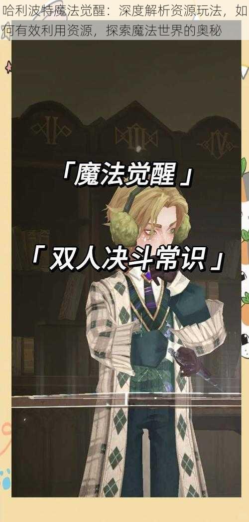 哈利波特魔法觉醒:深度解析资源玩法,如何有效利用资源,探索魔法世界的奥秘