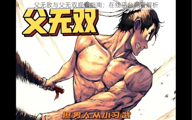 父无敌与父无双观看指南:在线平台观看解析