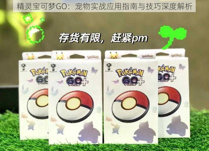 精灵宝可梦GO:宠物实战应用指南与技巧深度解析