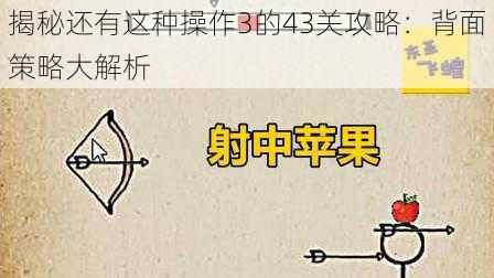 揭秘还有这种操作3的43关攻略:背面策略大解析