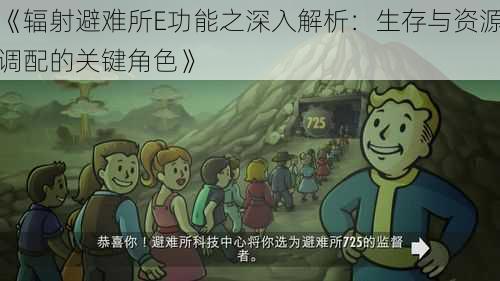 《辐射避难所E功能之深入解析:生存与资源调配的关键角色》