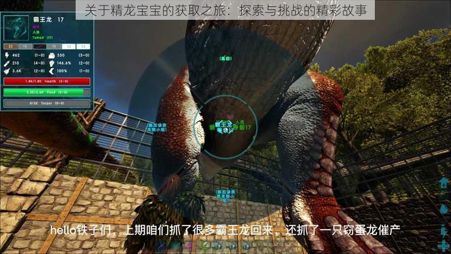 关于精龙宝宝的获取之旅:探索与挑战的精彩故事