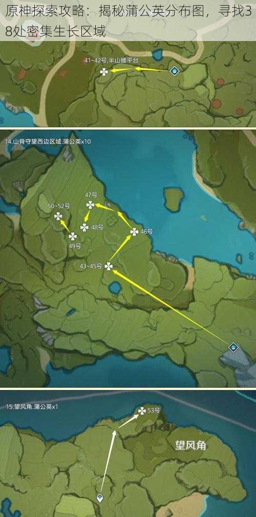 原神探索攻略:揭秘蒲公英分布图,寻找38处密集生长区域