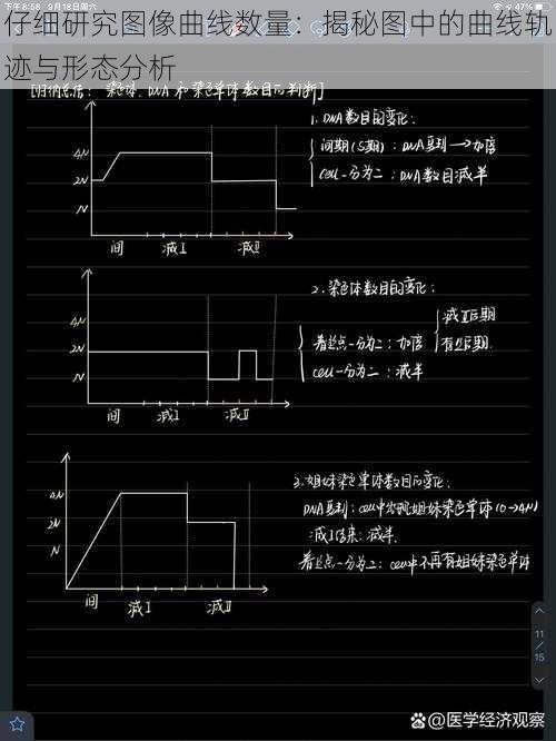仔细研究图像曲线数量:揭秘图中的曲线轨迹与形态分析