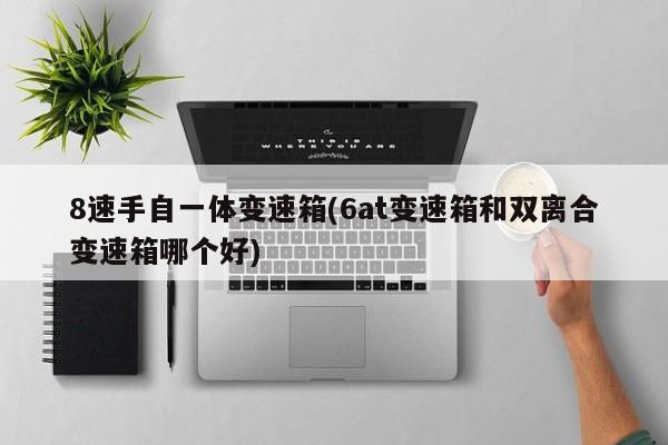 8速手自一体变速箱(6at变速箱和双离合变速箱哪个好)